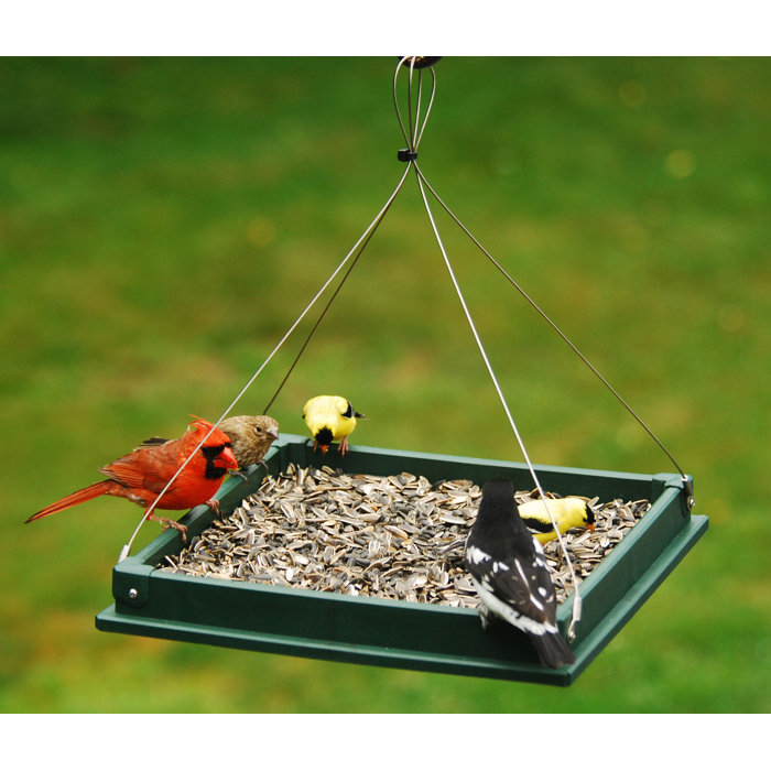 Songbird Essentials Hanging Platform Tray Bird Feeder Wayfair.ca
